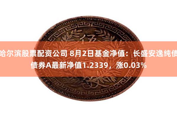 哈尔滨股票配资公司 8月2日基金净值：长盛安逸纯债债券A最新净值1.2339，涨0.03%