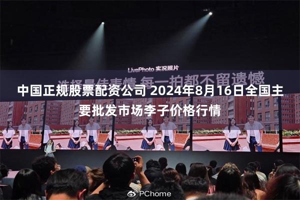 中国正规股票配资公司 2024年8月16日全国主要批发市场李子价格行情