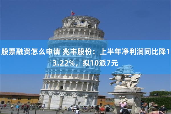 股票融资怎么申请 兆丰股份：上半年净利润同比降13.22%，拟10派7元