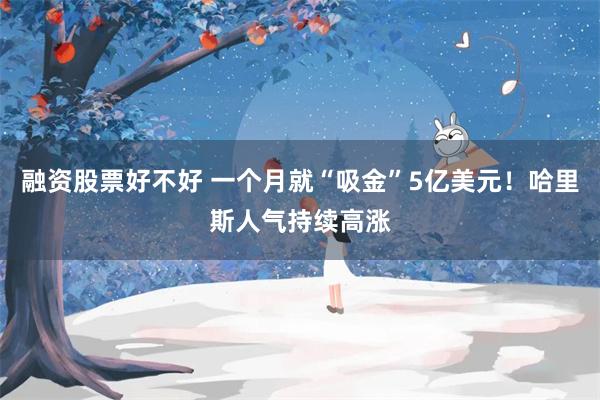 融资股票好不好 一个月就“吸金”5亿美元！哈里斯人气持续高涨