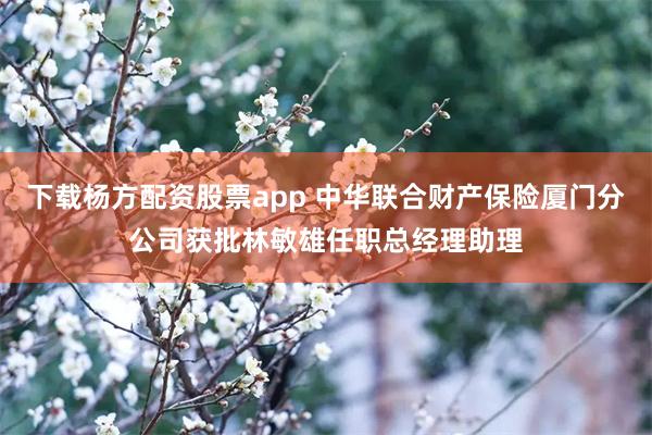 下载杨方配资股票app 中华联合财产保险厦门分公司获批林敏雄任职总经理助理