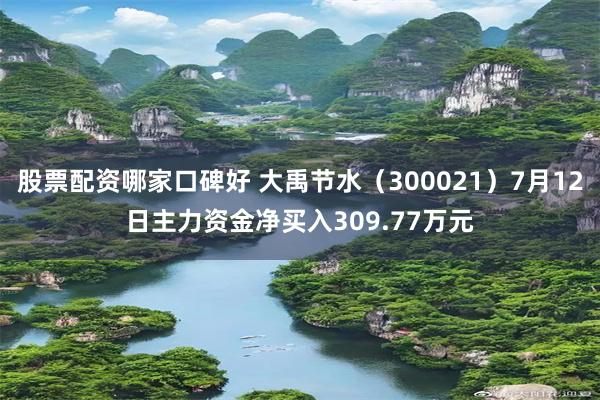 股票配资哪家口碑好 大禹节水（300021）7月12日主力资金净买入309.77万元