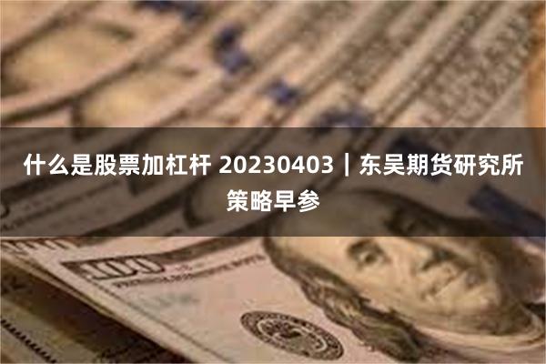 什么是股票加杠杆 20230403｜东吴期货研究所策略早参